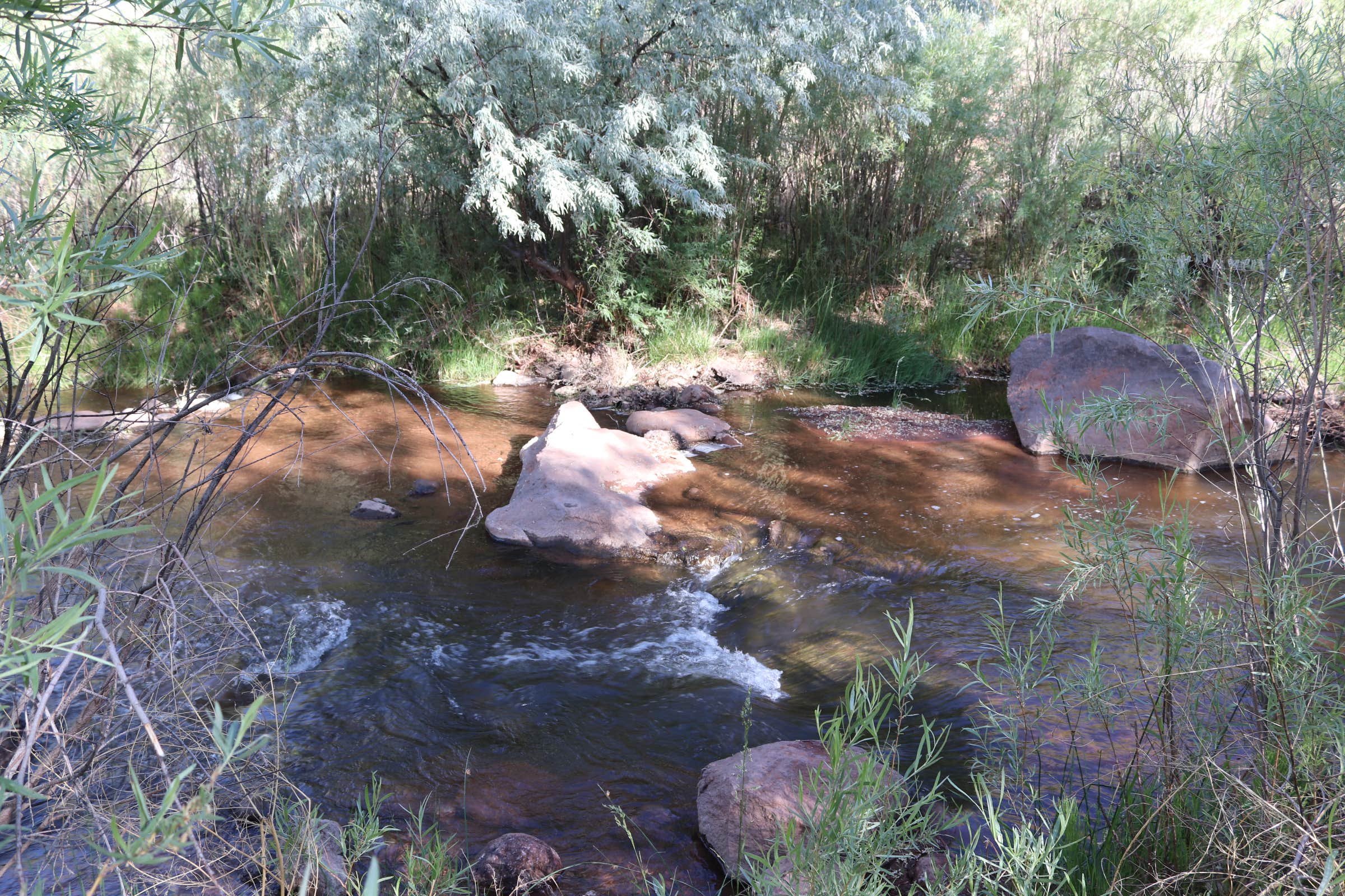 Escape to Enchantment: Your Guide to New Mexico's Vista Linda Campground