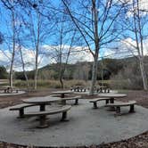 Review photo of Dos Picos County Park by Shainna M., March 3, 2023