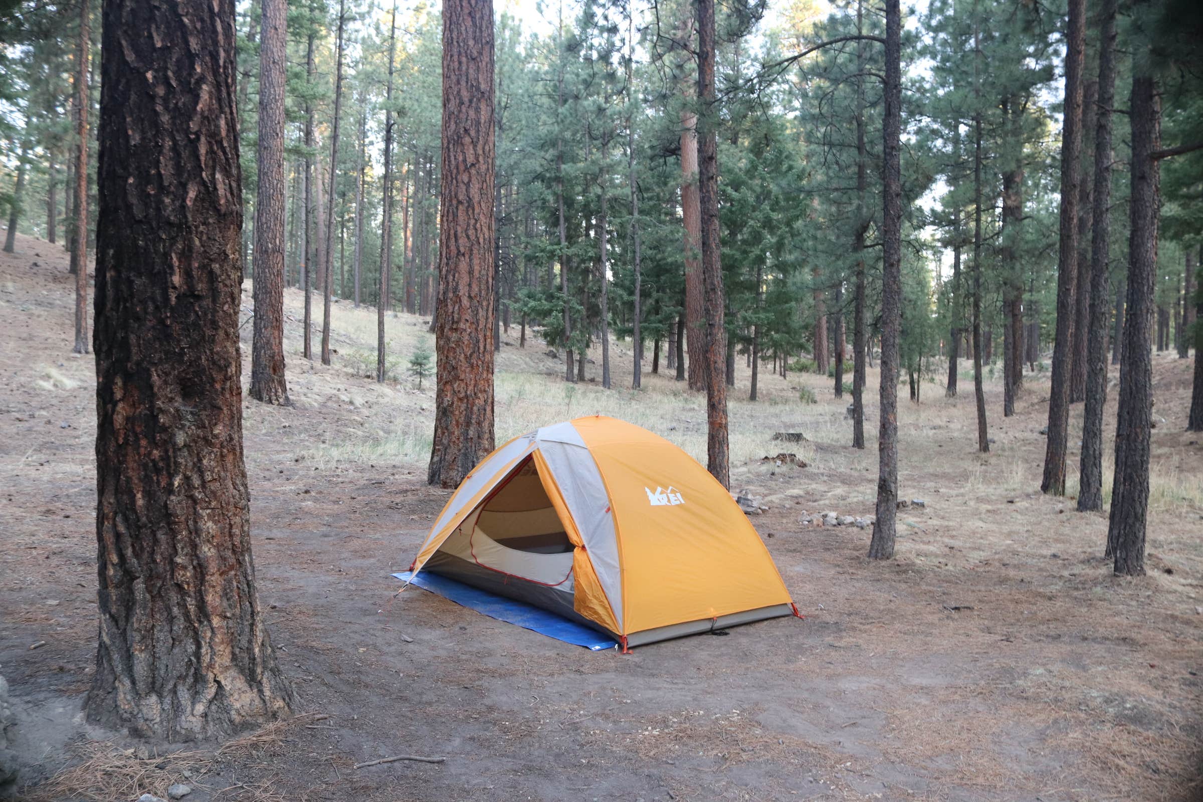 Annie C.'s photo at Redondo Campground near Vallecitos, NM