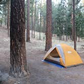 Review photo of Redondo Campground by Annie C., October 1, 2018