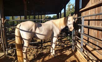 Eric V.'s photo of camping with a horse at Graves Mountain Farm Campground near New Market, VA