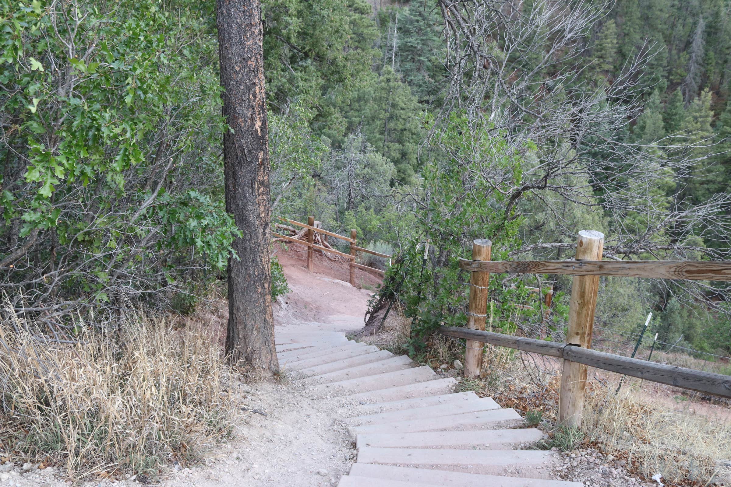 Camper submitted image from Redondo Campground - 4