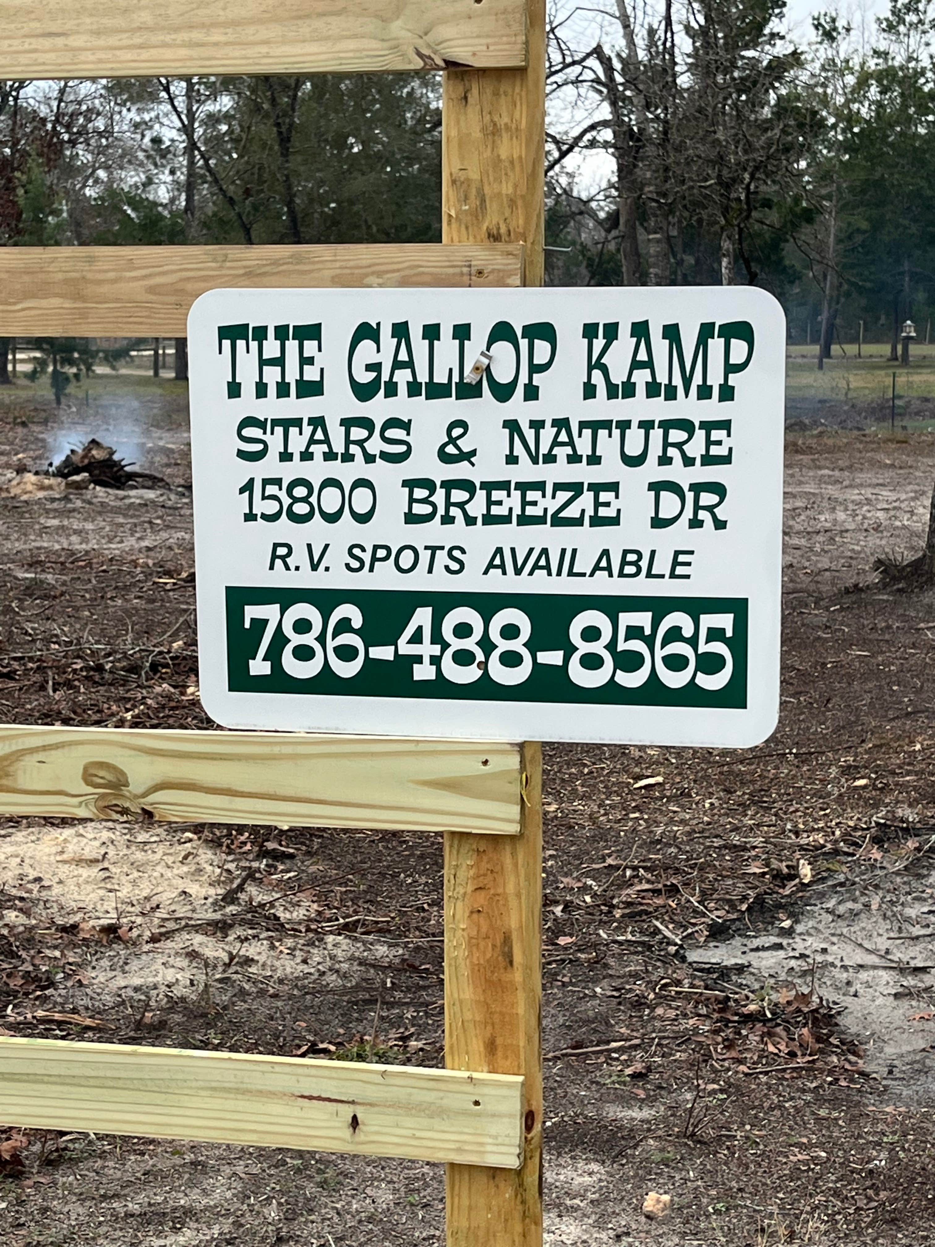 Camping near Rocky's Campground: The Gallop Kamp, Steinhatchee, Florida