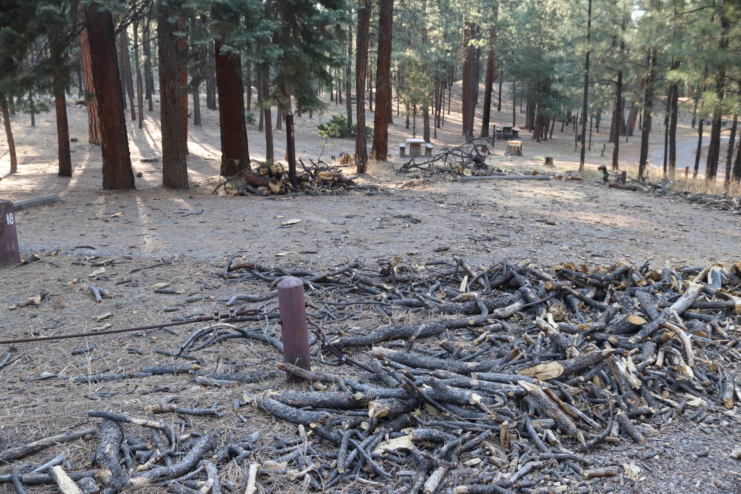 Camper-submitted photo at Redondo Campground near Jemez Springs, NM