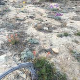 Review photo of Horse Flats Campground by Leslie R., August 7, 2016