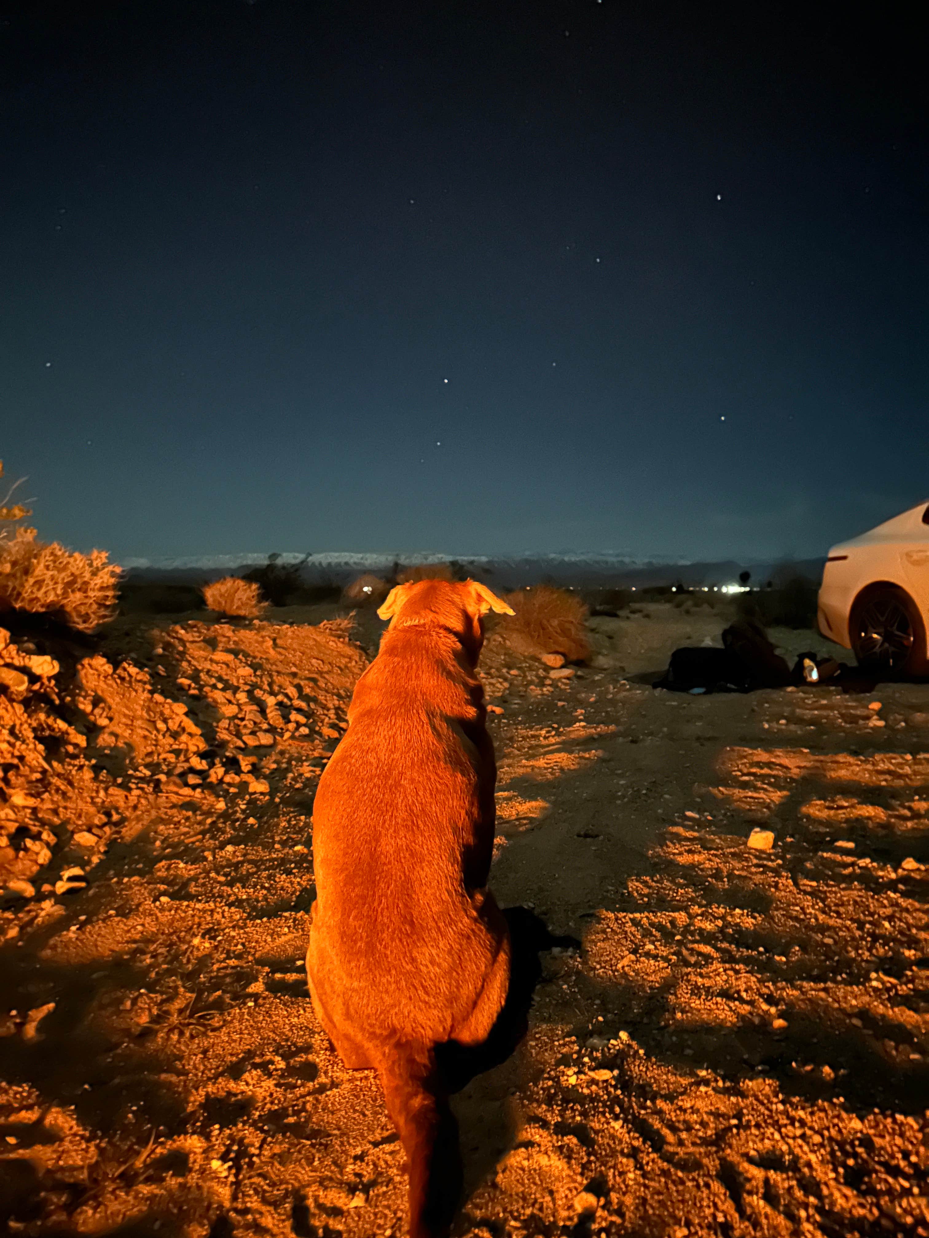 Camper-submitted photo at Valley of Fire Dispersed near Las Vegas, NV