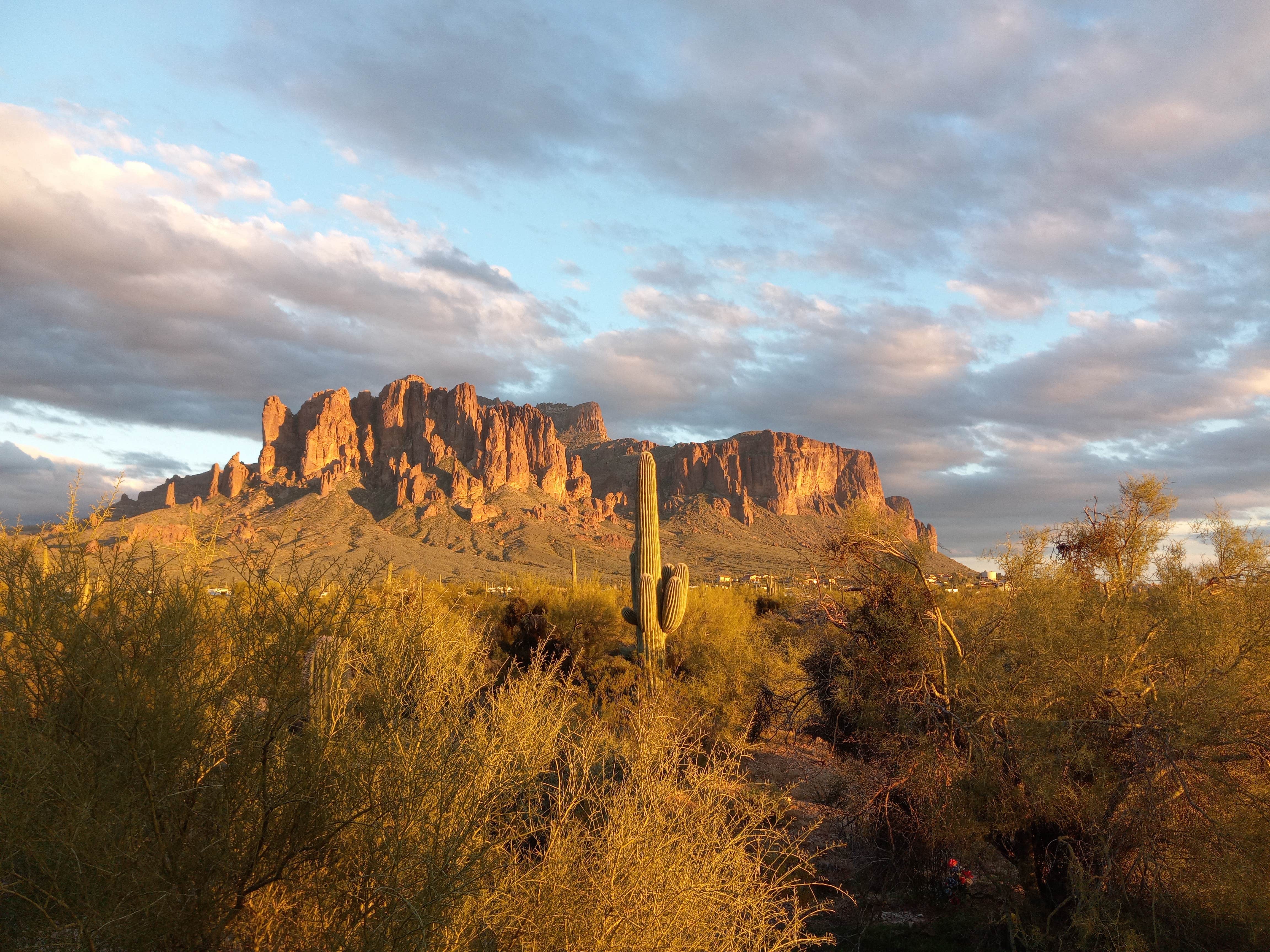 Camper-submitted photo at Dispersed Site Near Tonto National Forest near Salt River, AZ
