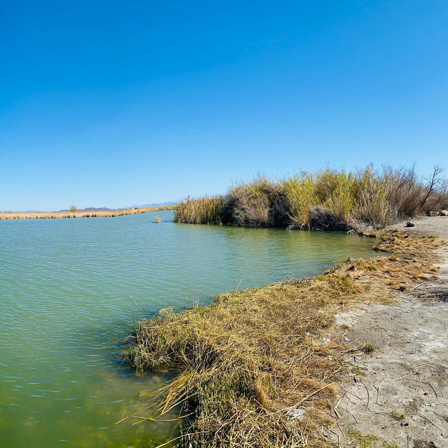 Lake Mittry Wildlife Designated Camping Area Winterhaven, AZ