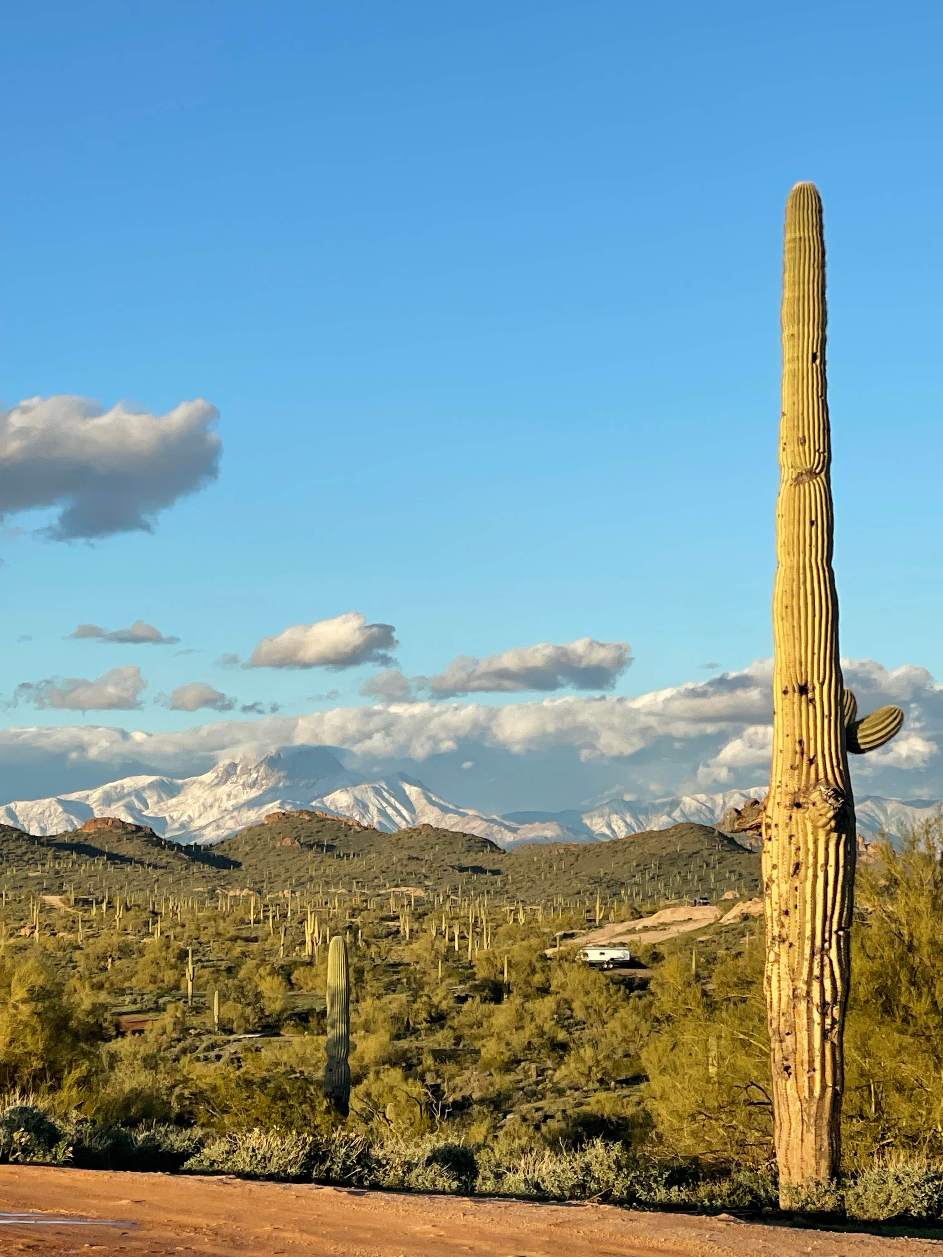 Camper-submitted photo at Hackamore Road Dispersed near Gold Canyon, AZ