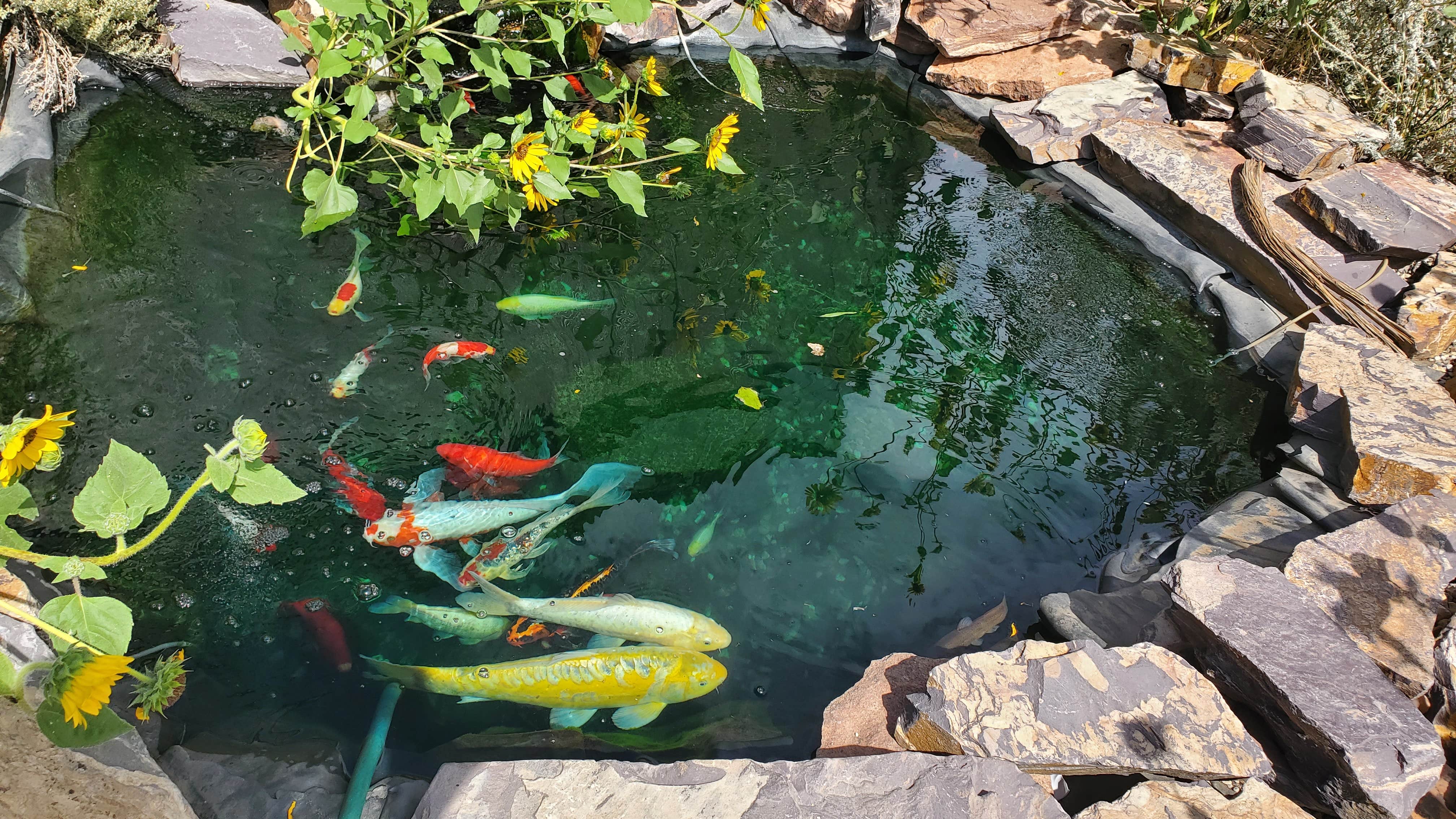 Camper-submitted photo at Sleeping Bear RV Park & Campground near Lander, WY