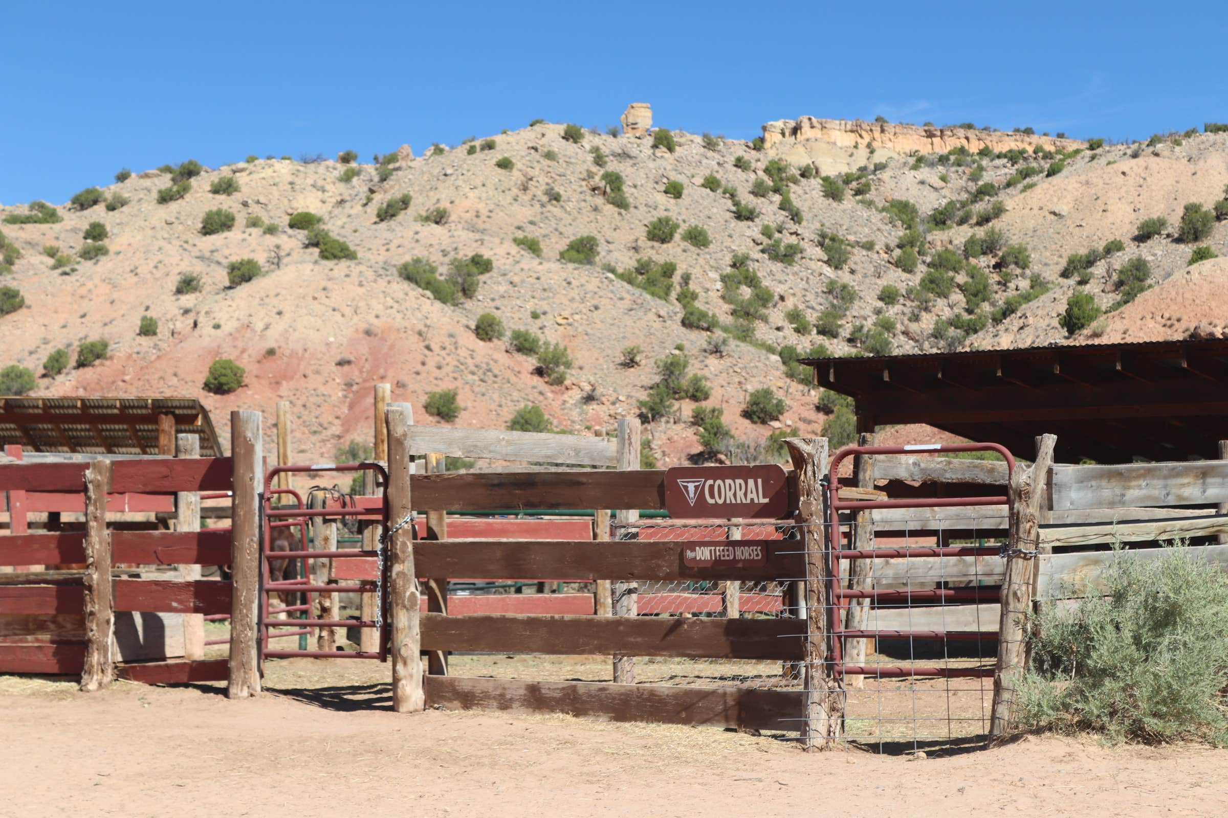 Camper-submitted photo at Ghost Ranch near Canjilon, NM