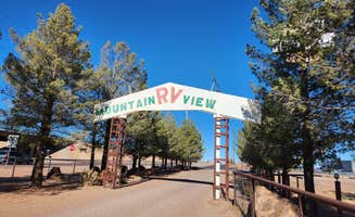 SEAN E.'s photo of camping with pets at Clinton Fox near Klondike, TX