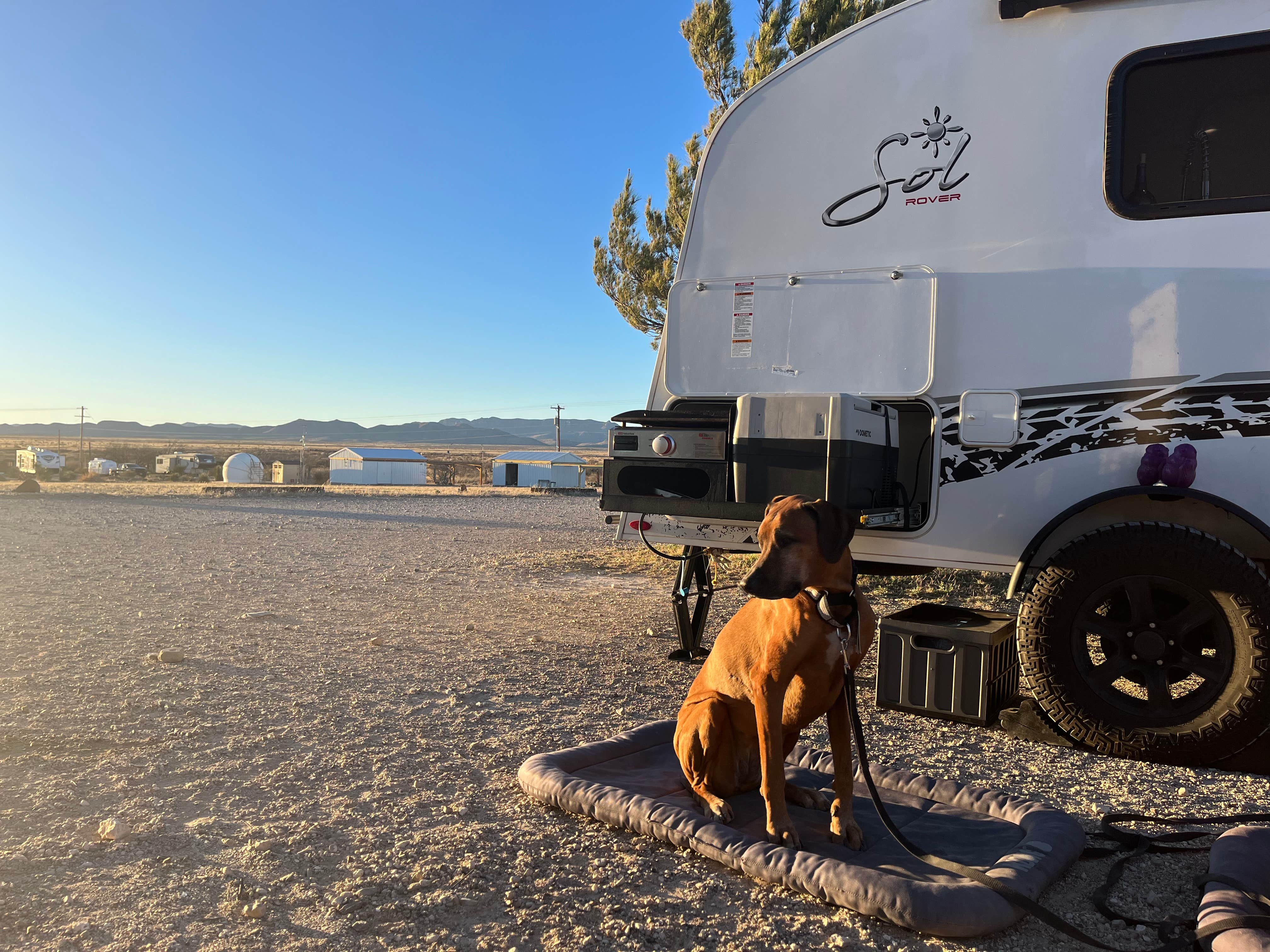 Jennifer R.'s photo of camping with pets at Marathon Motel & RV Park near Fort Davis, TX