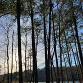 Review photo of Lake Lurleen State Park Campground by Casey L., March 4, 2023