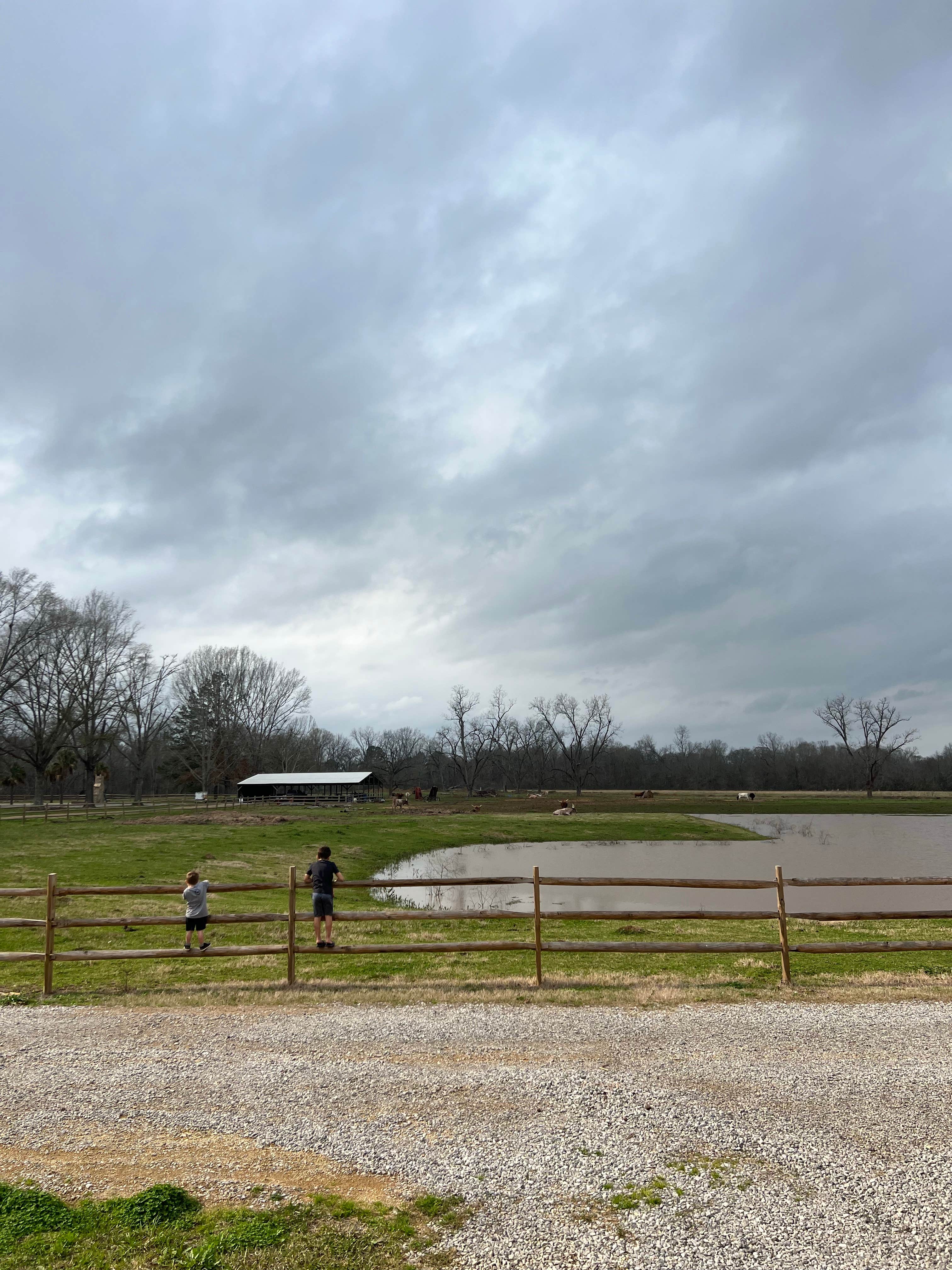 Camper submitted image from Natchitoches Pecan Orchard RV Park - 5