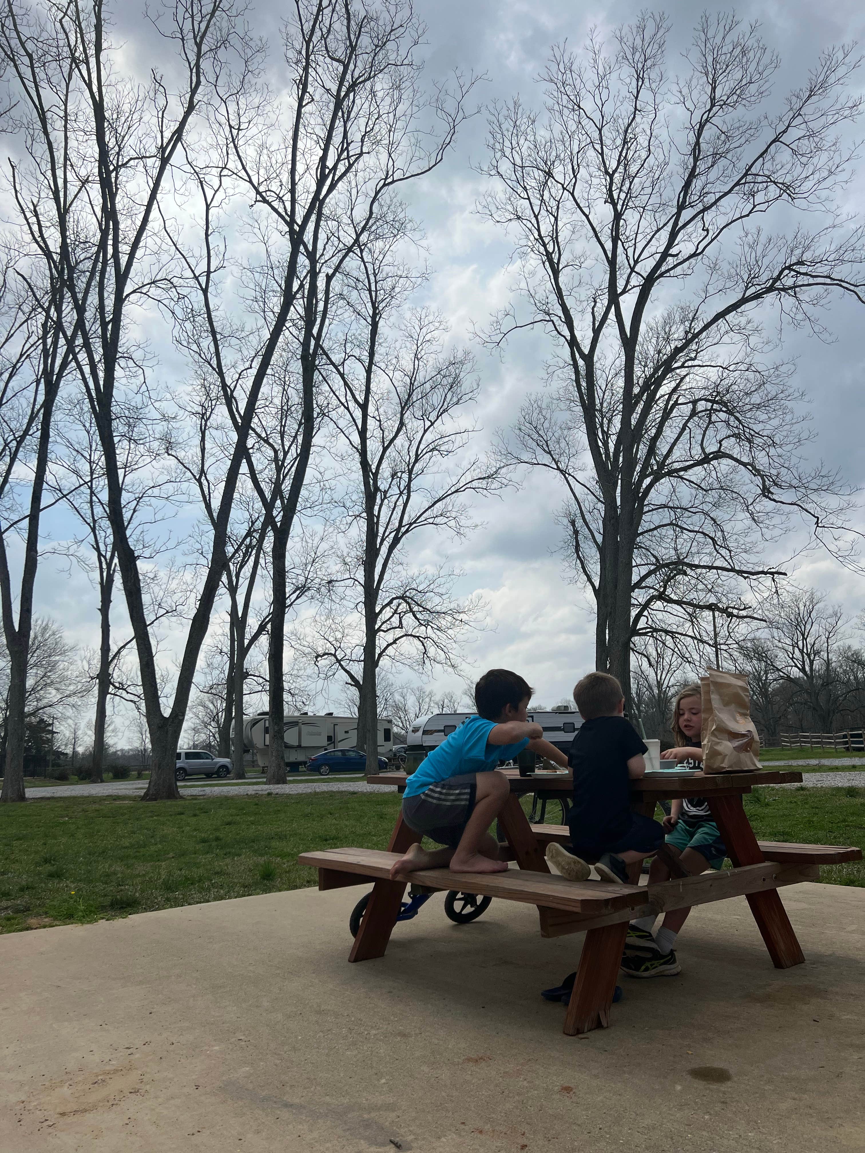 Camper submitted image from Natchitoches Pecan Orchard RV Park - 3