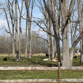 Review photo of Natchitoches Pecan Orchard RV Park by Casey L., March 4, 2023