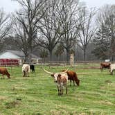 Review photo of Natchitoches Pecan Orchard RV Park by Casey L., March 4, 2023