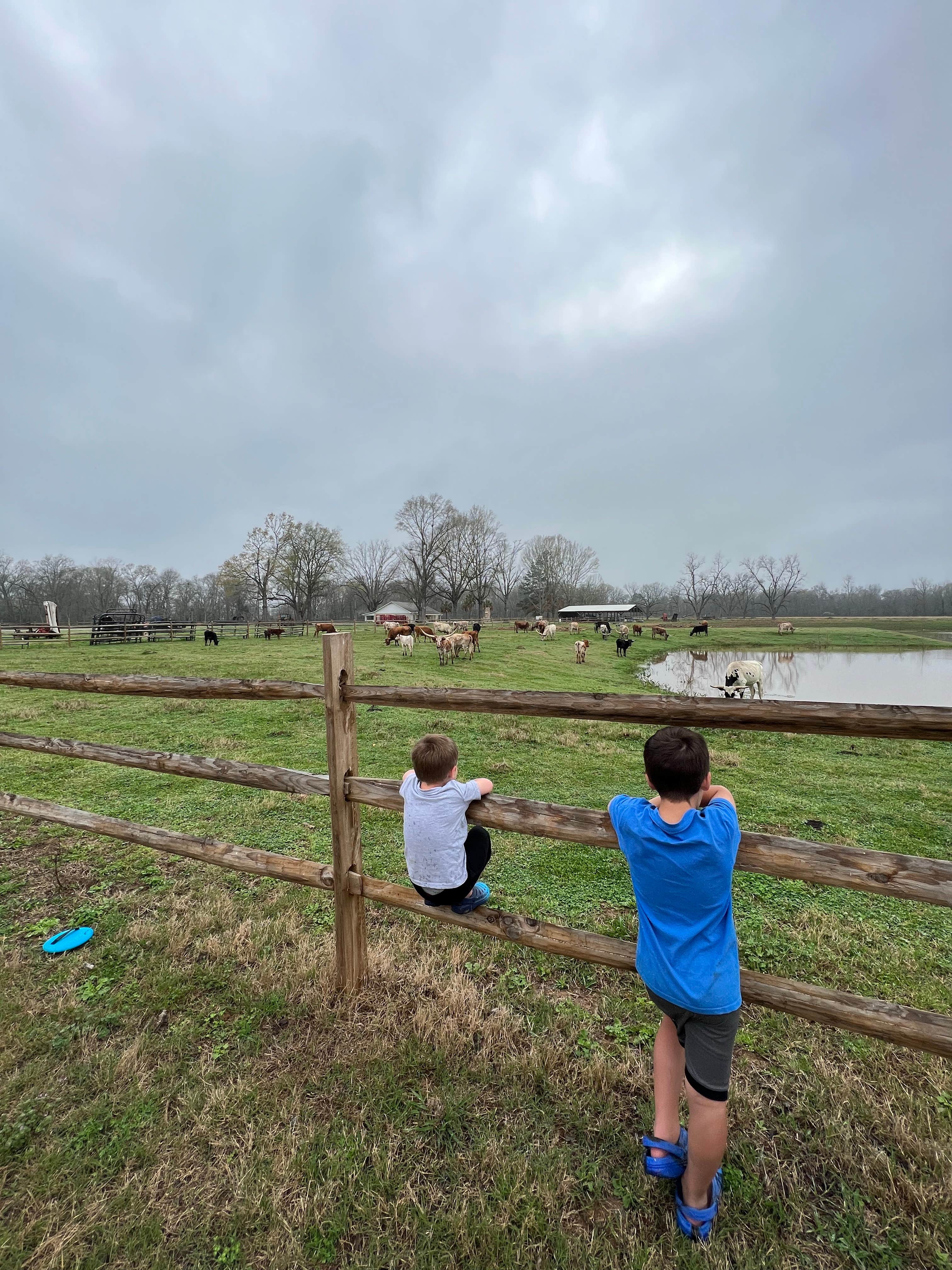 Camper-submitted photo at Natchitoches Pecan Orchard RV Park near Natchitoches, LA