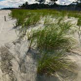 Review photo of Hunting Island State Park Campground by Jamie C., October 12, 2021