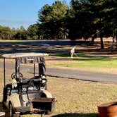 Review photo of Outdoor Adventure Retreats - Wanee Lake Golf & RV by MickandKarla W., March 4, 2023