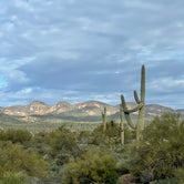 Review photo of Lost Dutchman State Park Campground by Jeff D., March 4, 2023