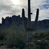 Review photo of Lost Dutchman State Park Campground by Jeff D., March 4, 2023