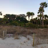 Review photo of Edisto Beach State Park Campground by Jamie C., March 4, 2023