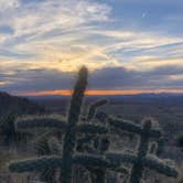 Review photo of Baylor Canyon Rd Spur, BLM, Free by Ray L., March 4, 2023