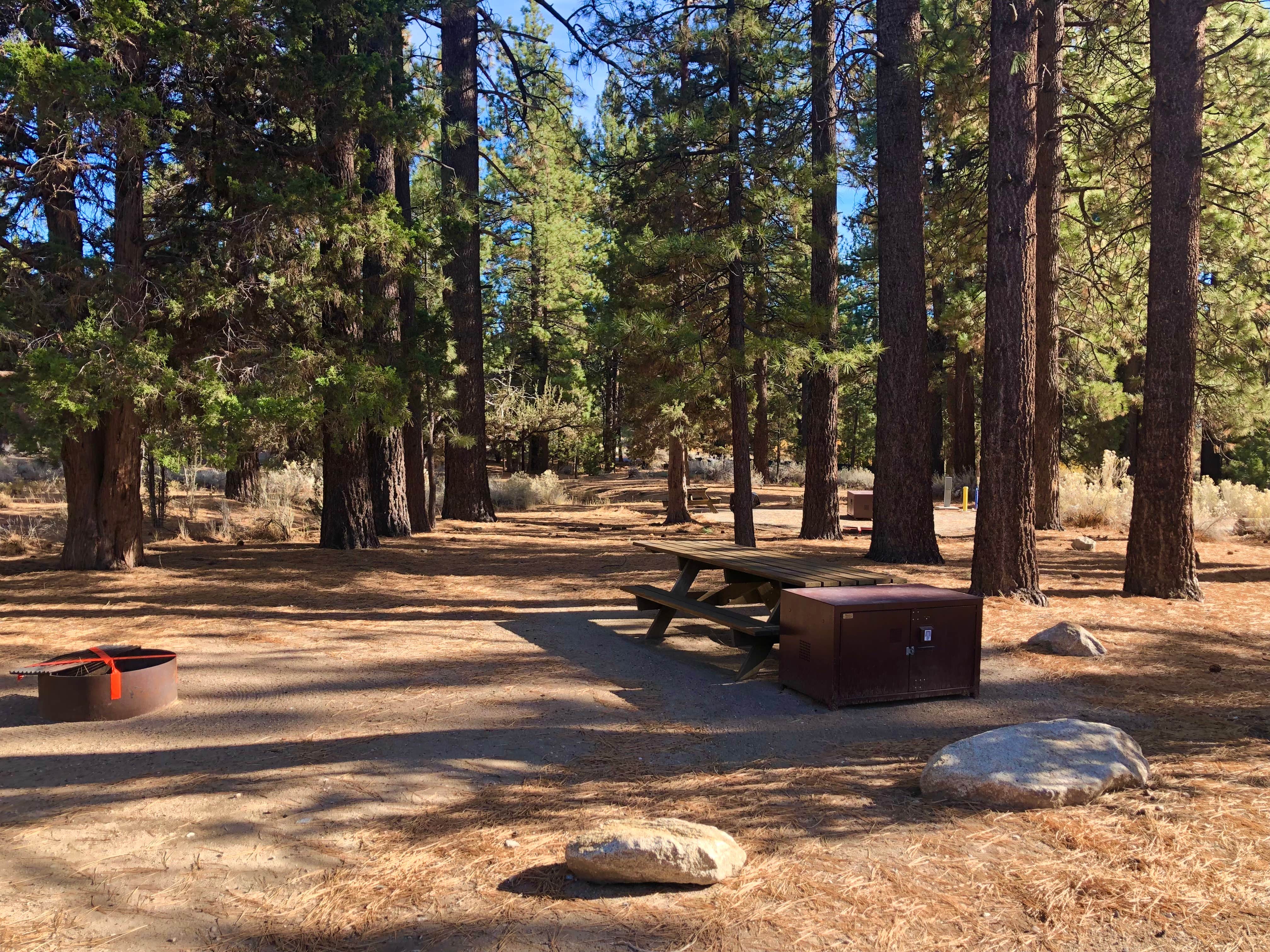 Jamie C.'s photo at Serrano near Big Bear City, CA