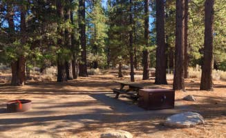 Jamie C.'s photo at Serrano near Big Bear Lake, CA