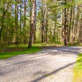 Review photo of Letchworth State Park Campground by Jamie C., March 5, 2023