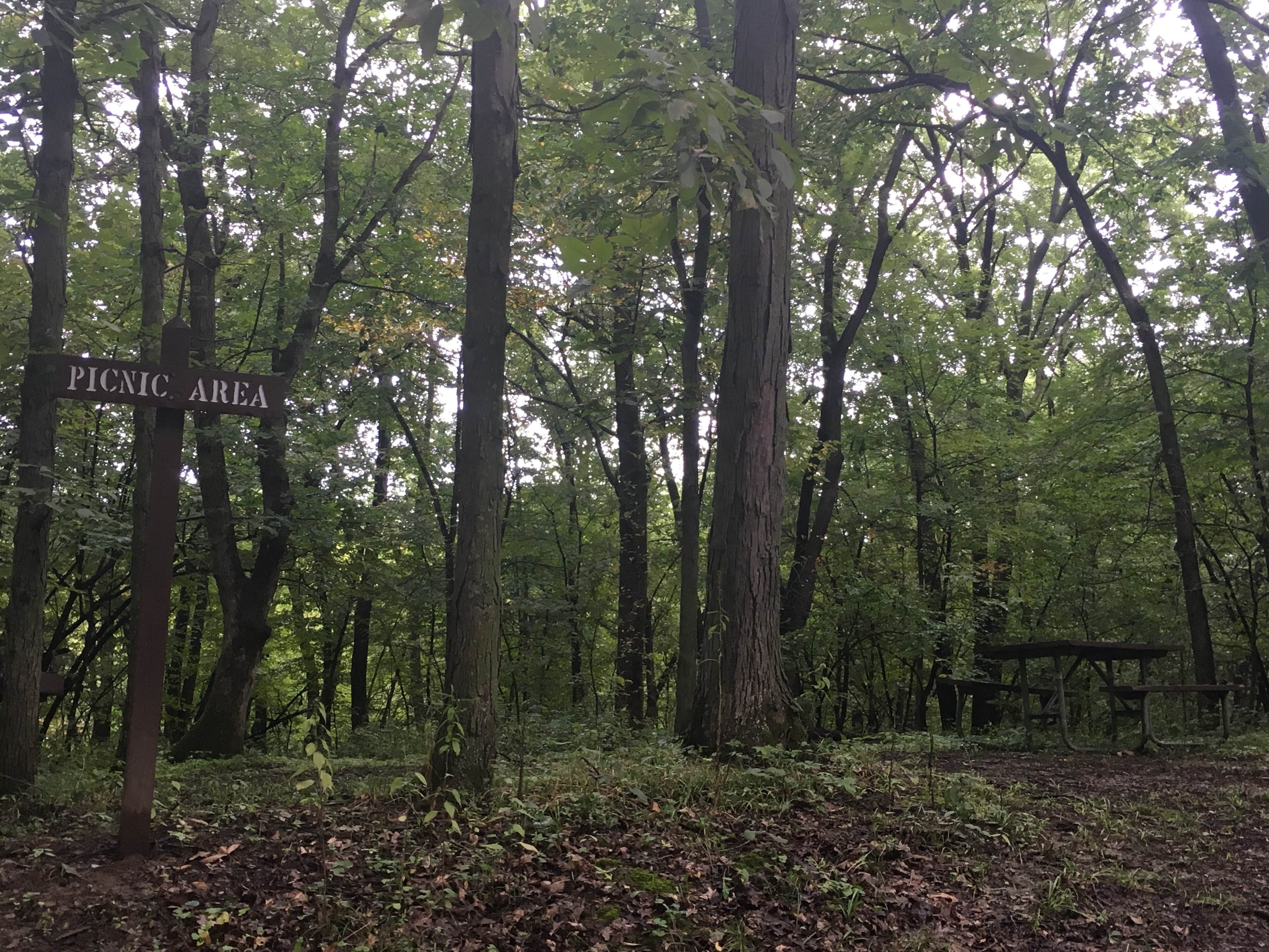 Camper-submitted photo at Nations Bridge Park near Audubon, IA