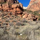 Review photo of Watchman Campground — Zion National Park by Sierra B., March 5, 2023