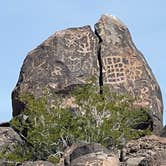 Review photo of Painted Rock Petroglyph Site And Campground by Rick & Terri J., March 5, 2023