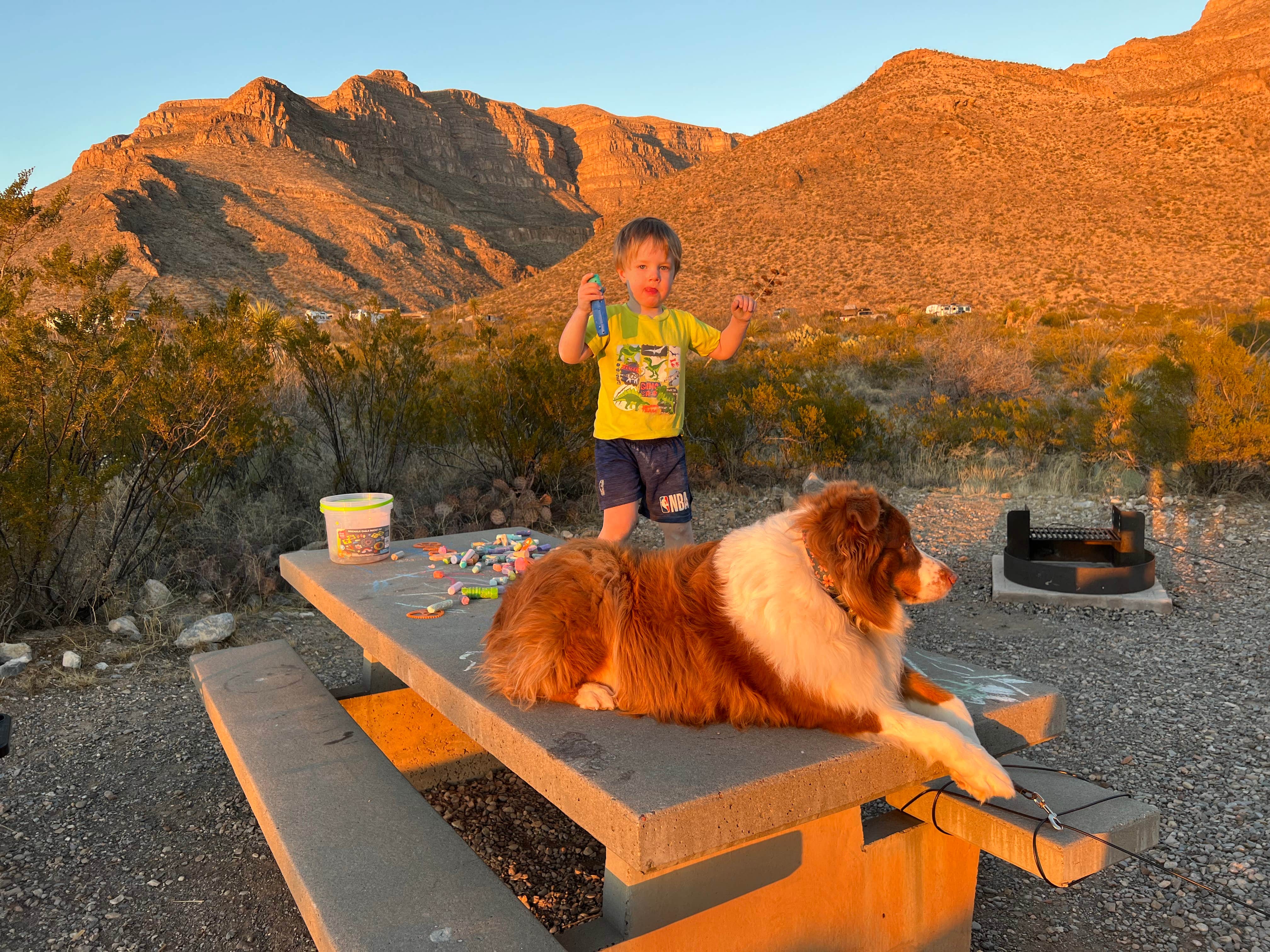 Austin's photo of camping with pets at Oliver Lee Memorial State Park Campground near Sunspot, NM