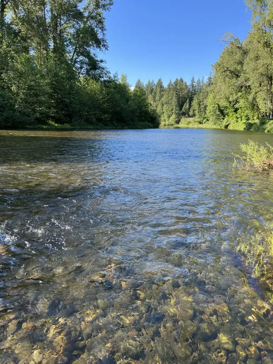 Camper-submitted photo at Molalla Ripple near Molalla, OR