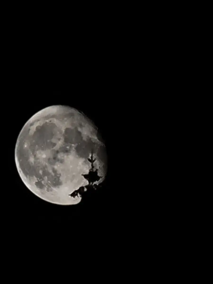 Camper-submitted photo at Molalla Ripple near Molalla, OR