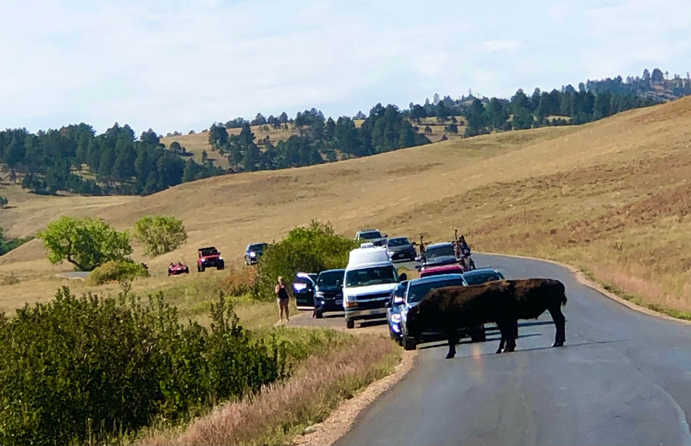Camper-submitted photo at Larsson’s Crooked Creek RV Resort near Black Hills National Forest