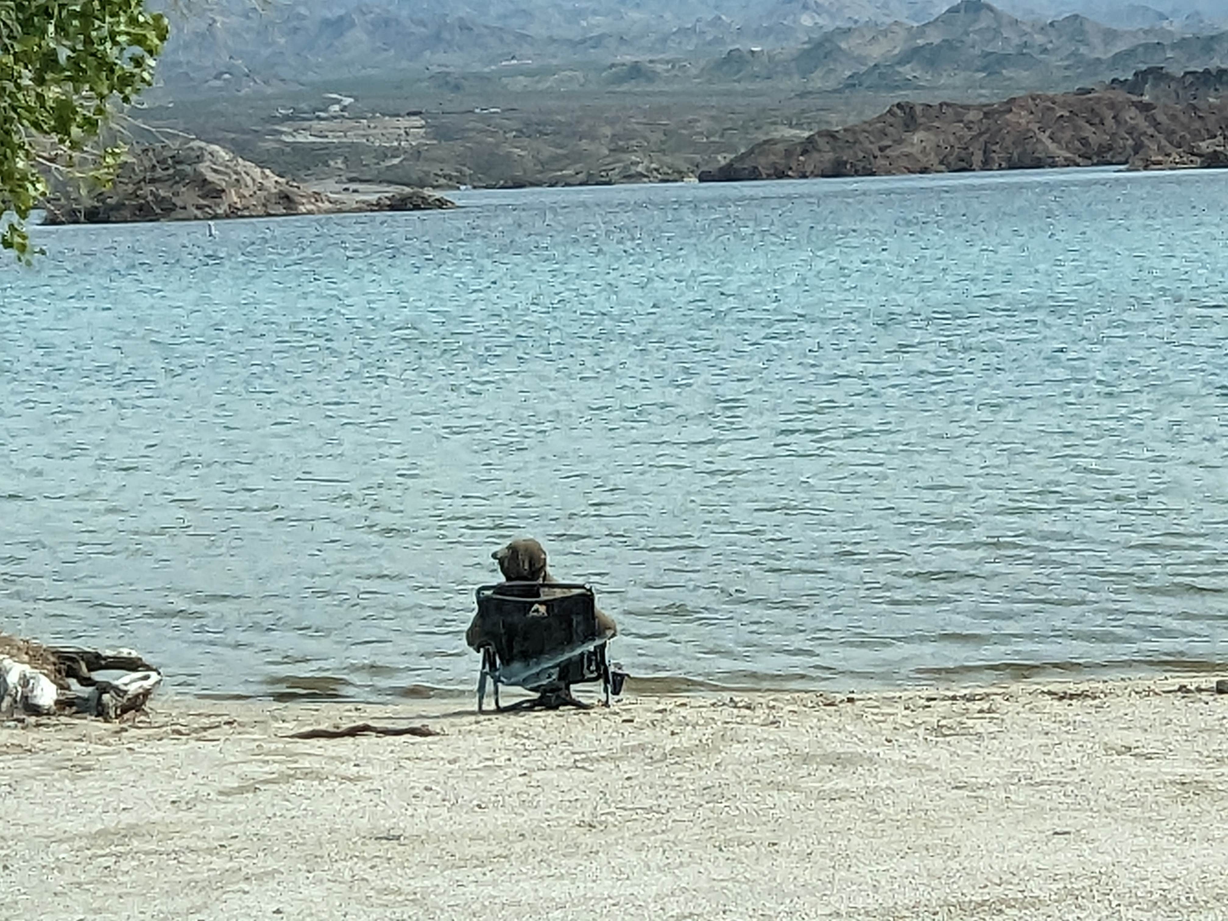 Greg L.'s photo of a dispersed camping area at Lake Mohave - Nevada Telephone Cove — Lake Mead National Recreation Area near Bullhead City, AZ