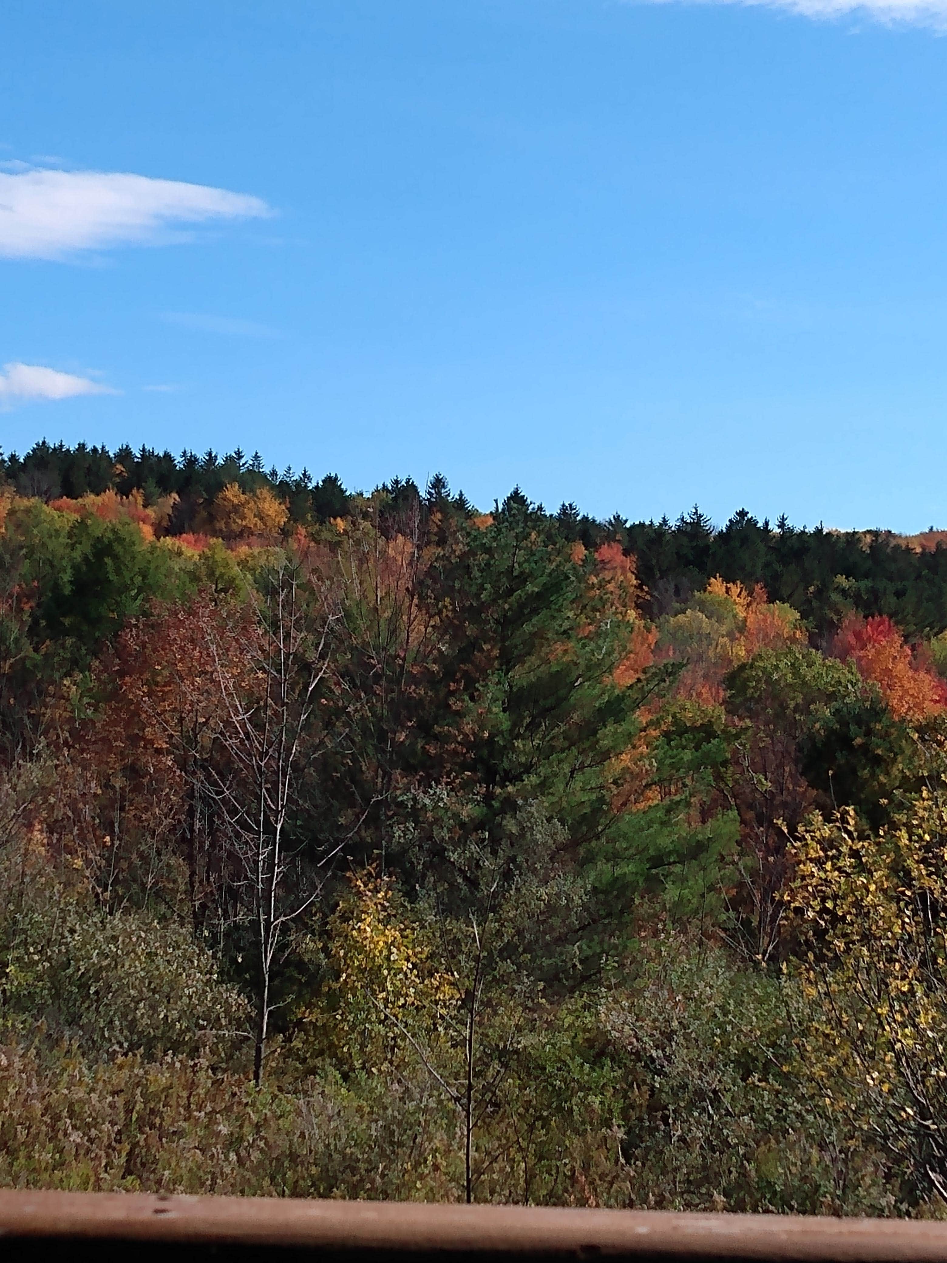 Camper-submitted photo at Camp Earth Connection near Montezuma, NY