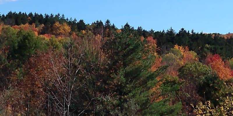 Camper submitted image from Camp Earth Connection