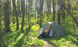 Eshay R.'s photo at Camp Earth Connection near Candor, NY