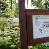 Review photo of Lost Lake Resort And Campground — Mt. Hood National Forest by Jill T., September 30, 2018