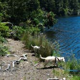 Review photo of Umpqua Lighthouse State Park Campground by Tim J., September 30, 2018