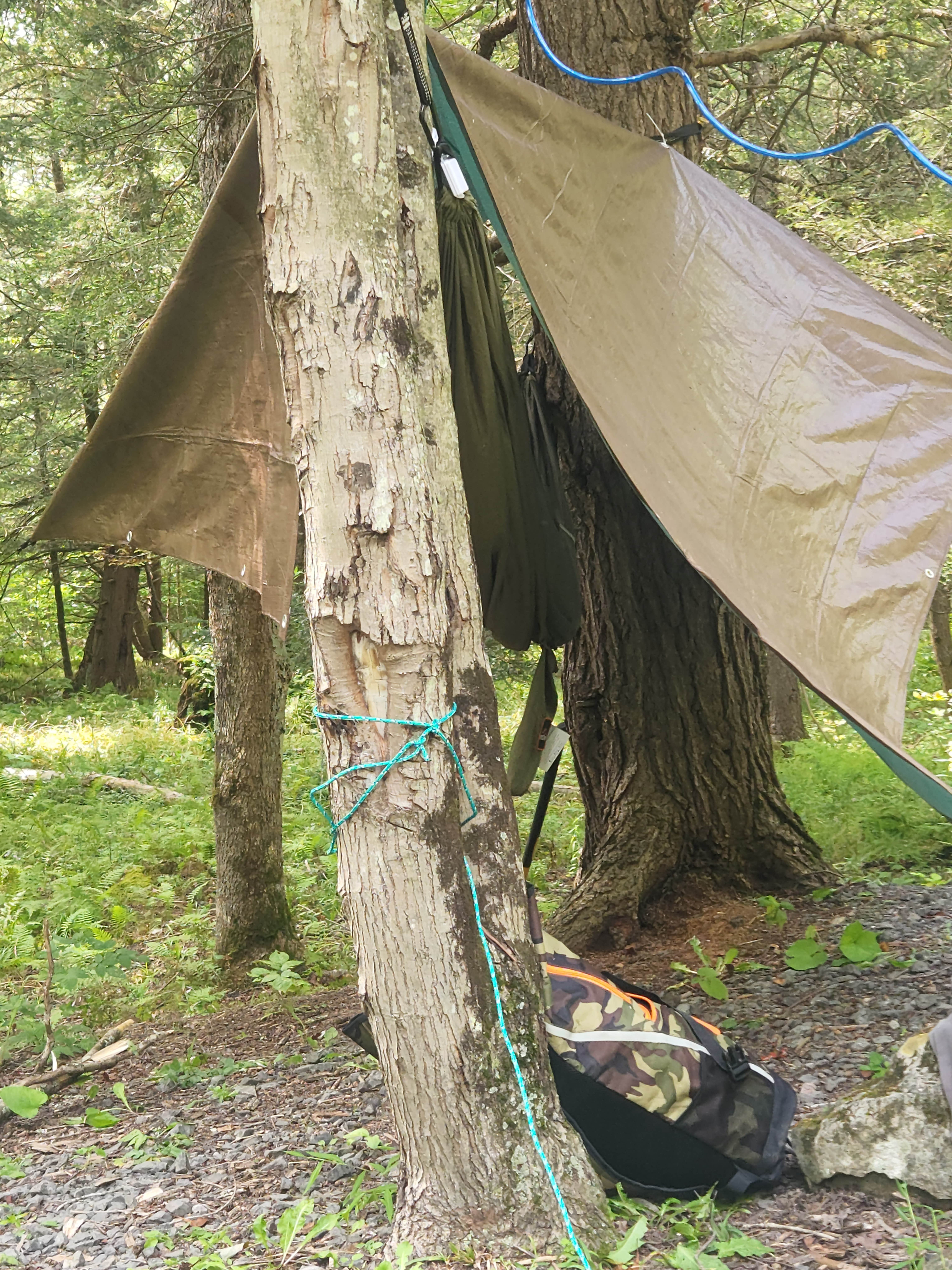 Camper-submitted photo at Island Campground near Blue Grass, VA
