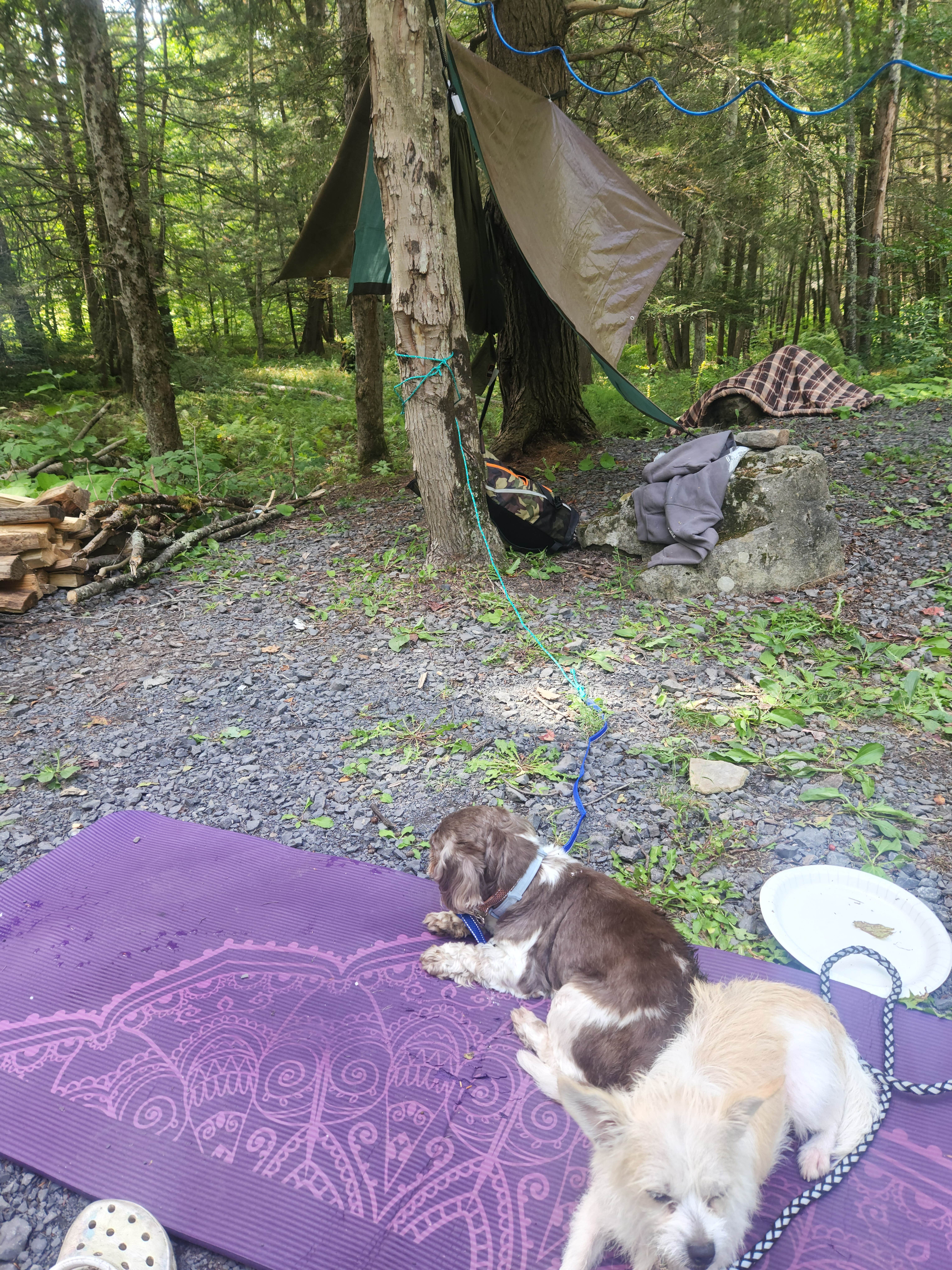 Camper-submitted photo at Island Campground near Blue Grass, VA