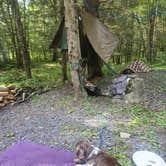 Review photo of Island Campground by Amber F., March 6, 2023