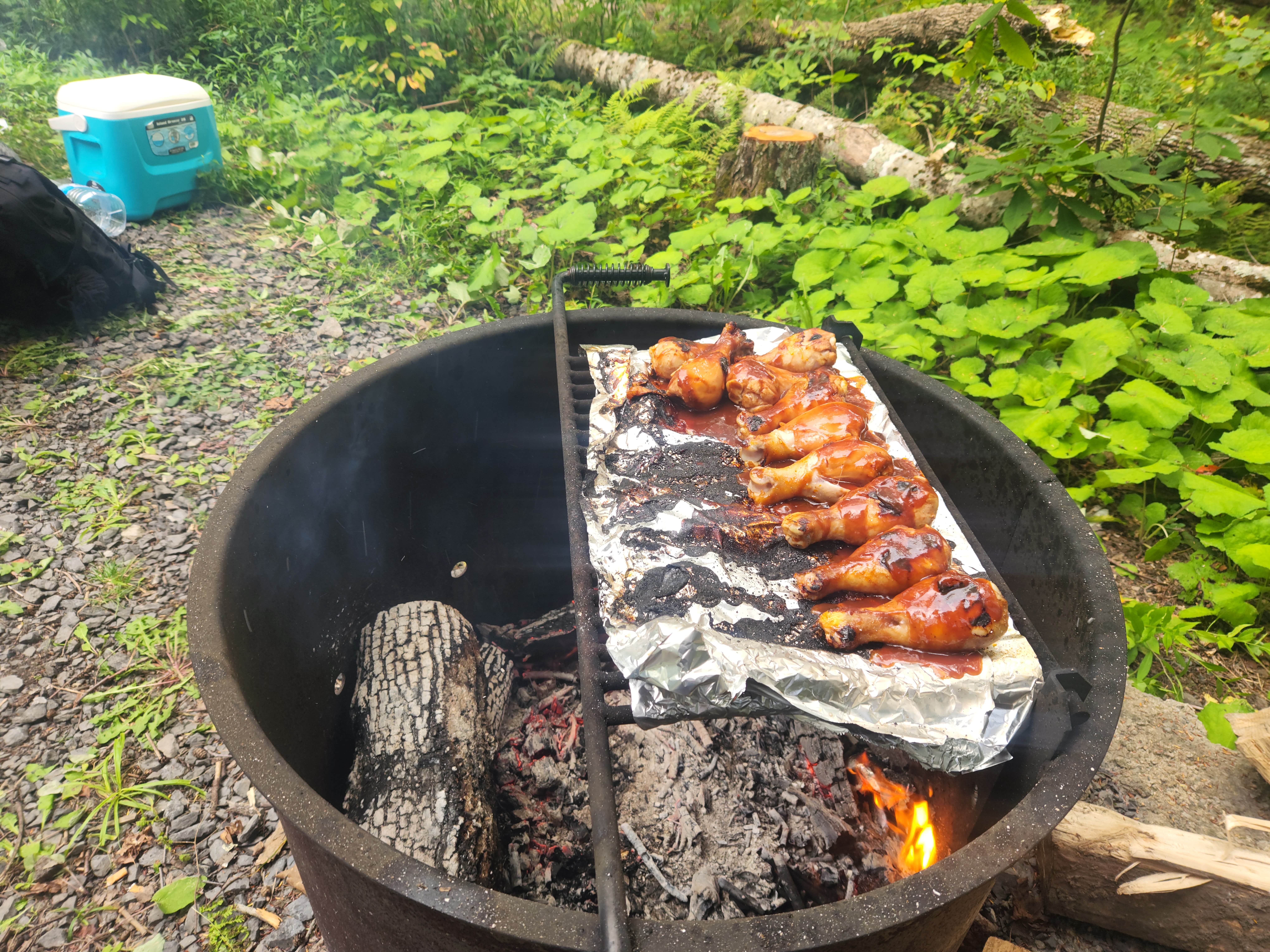 Camper-submitted photo at Island Campground near Blue Grass, VA