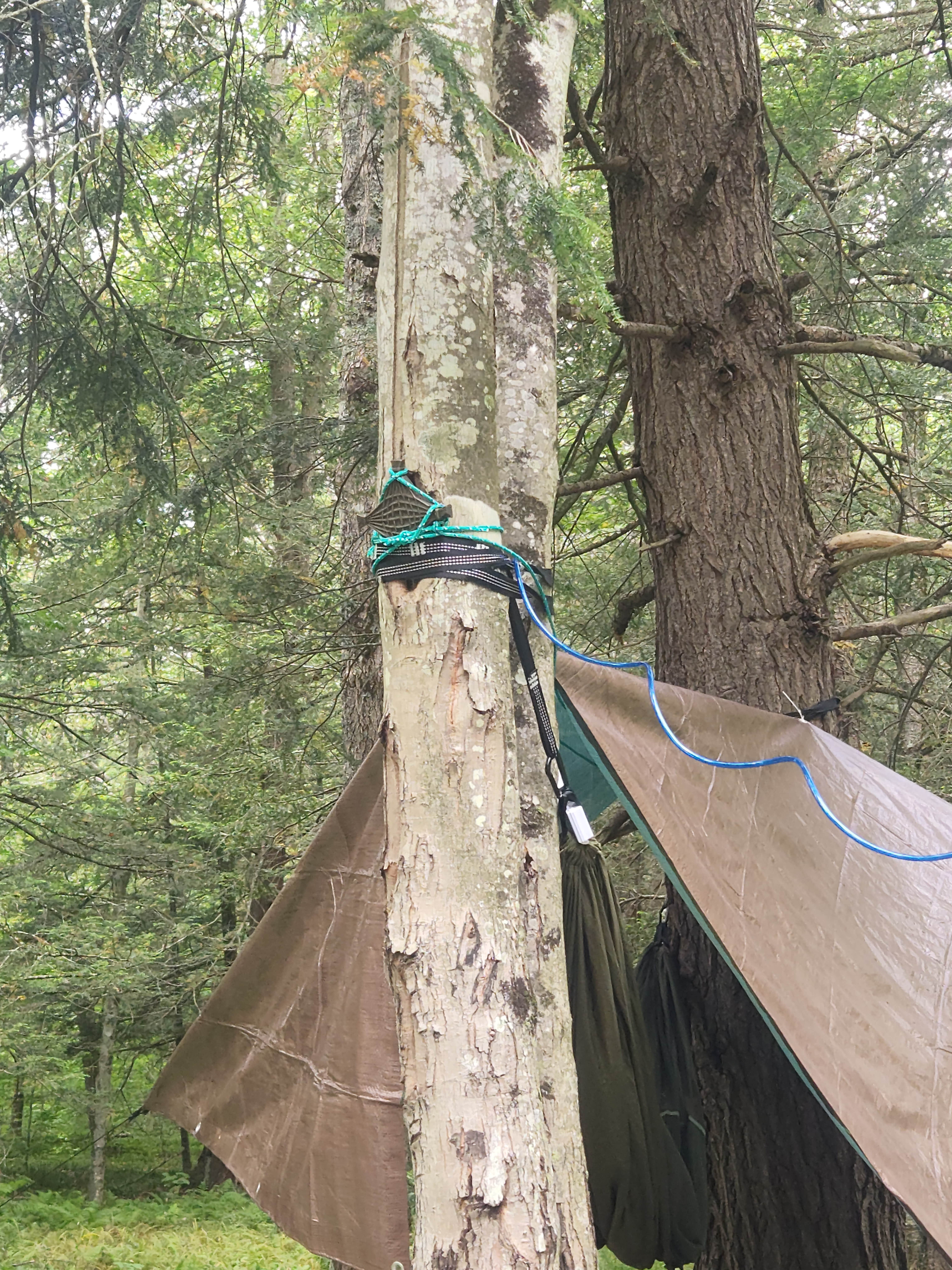 Camper-submitted photo at Island Campground near Blue Grass, VA